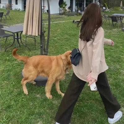 穷街艳女